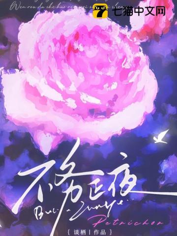 不务正夜